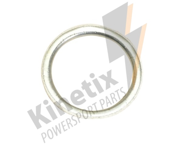 EXEG-H1001